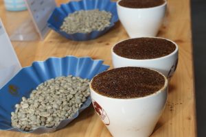 Cupping
