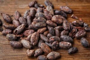 cacao-bean-2522918_1920 gate74 2017